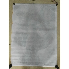 制作夏威夷州ID